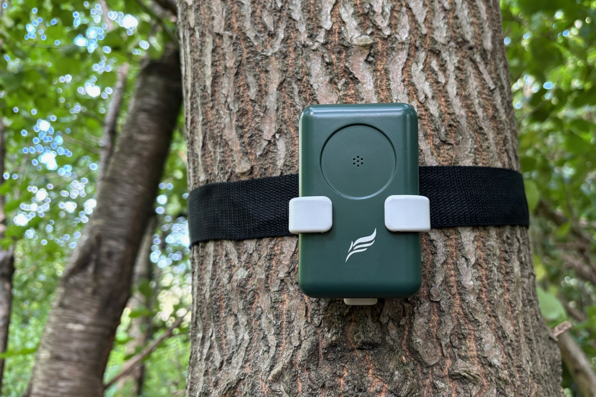 Chirple strapped to a tree, doing ecological research listening for birds.